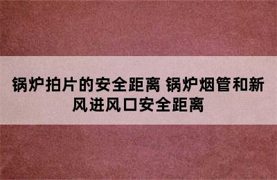 锅炉拍片的安全距离 锅炉烟管和新风进风口安全距离